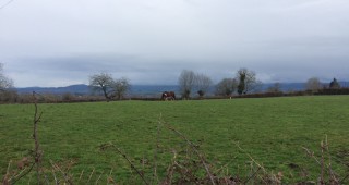 Terrain SAINT JULIEN DE JONZY 4