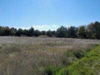 terrain à vendre 43350 Borne