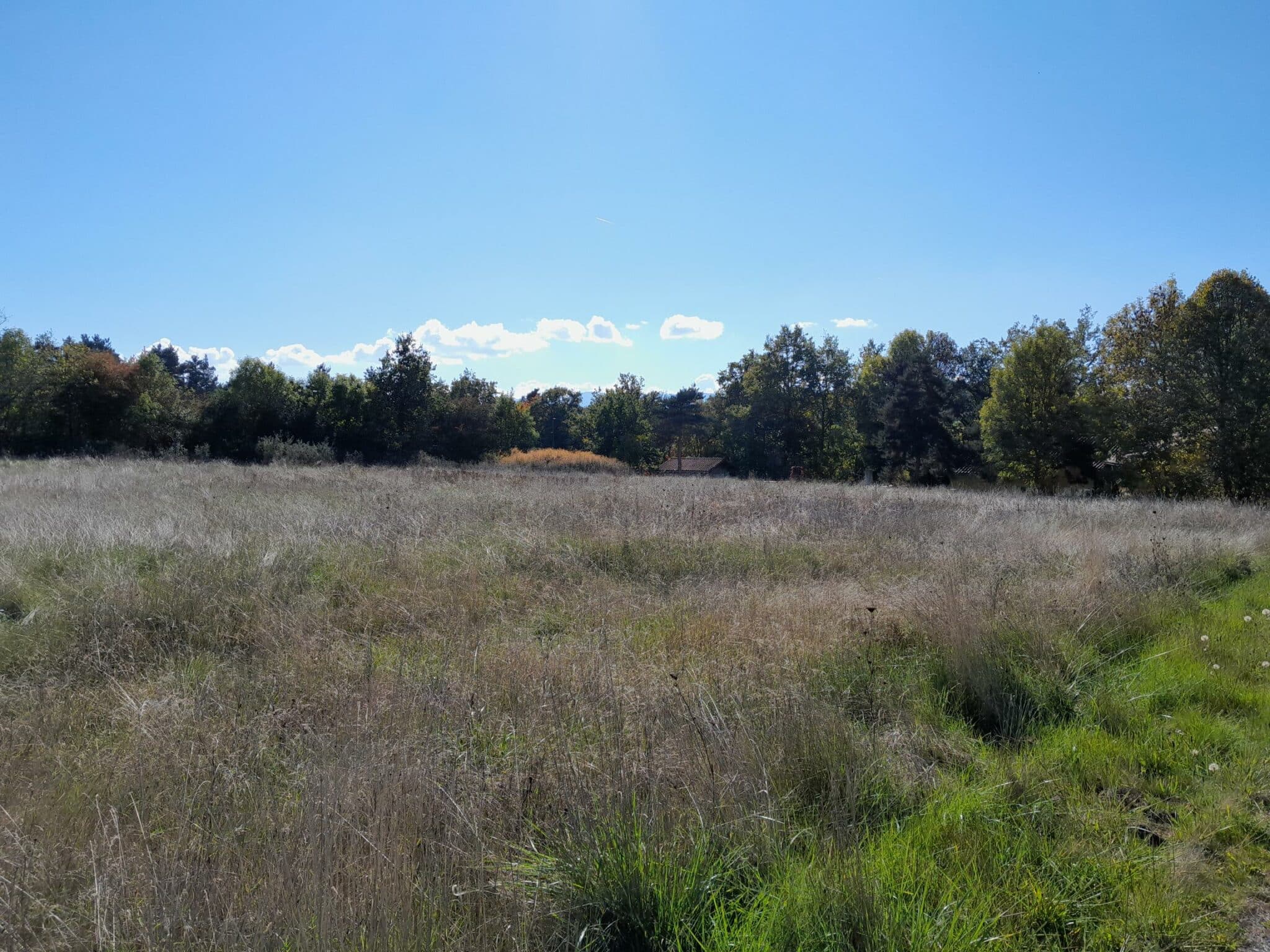 terrain à vendre 43350 Borne