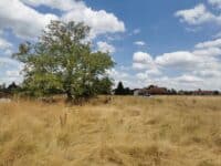 Lot 9