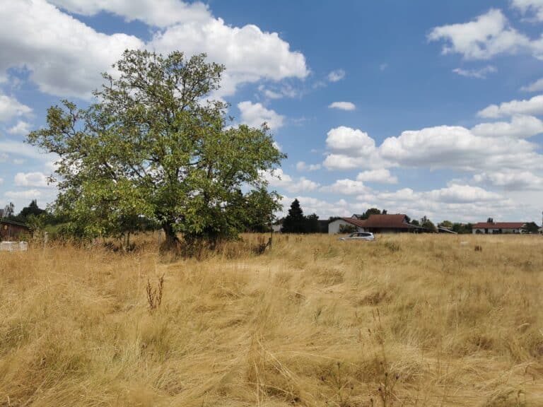 Lot 9