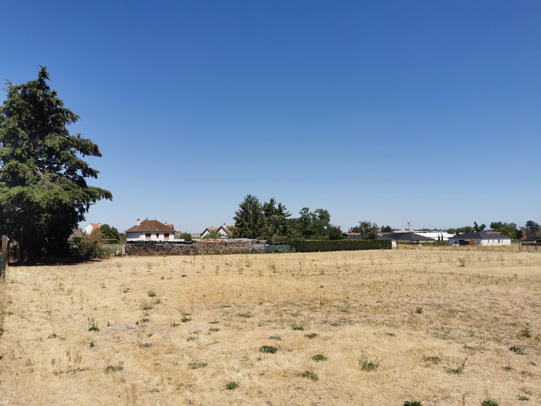 Lot 3